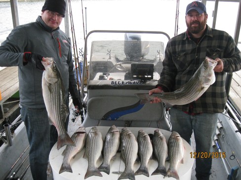 Nice Striped Bass